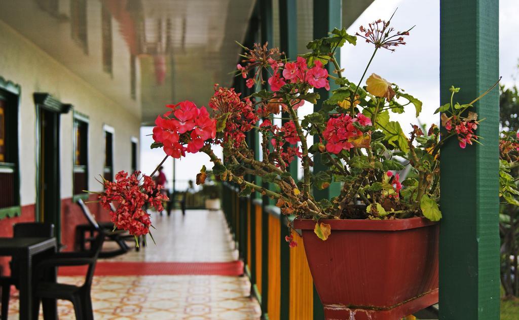 Auberge de jeunesse Casa De Taitas *